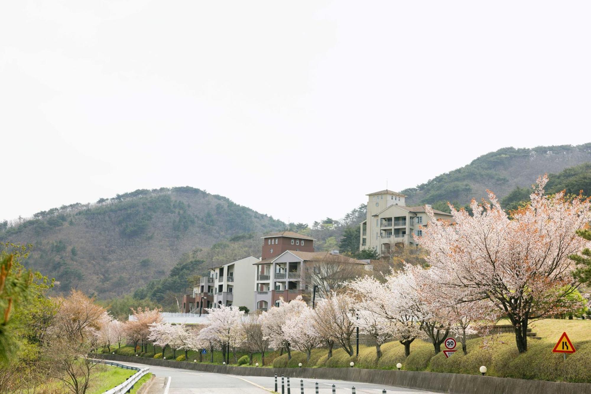 Gyeongju Mauna Ocean Resort Eksteriør billede