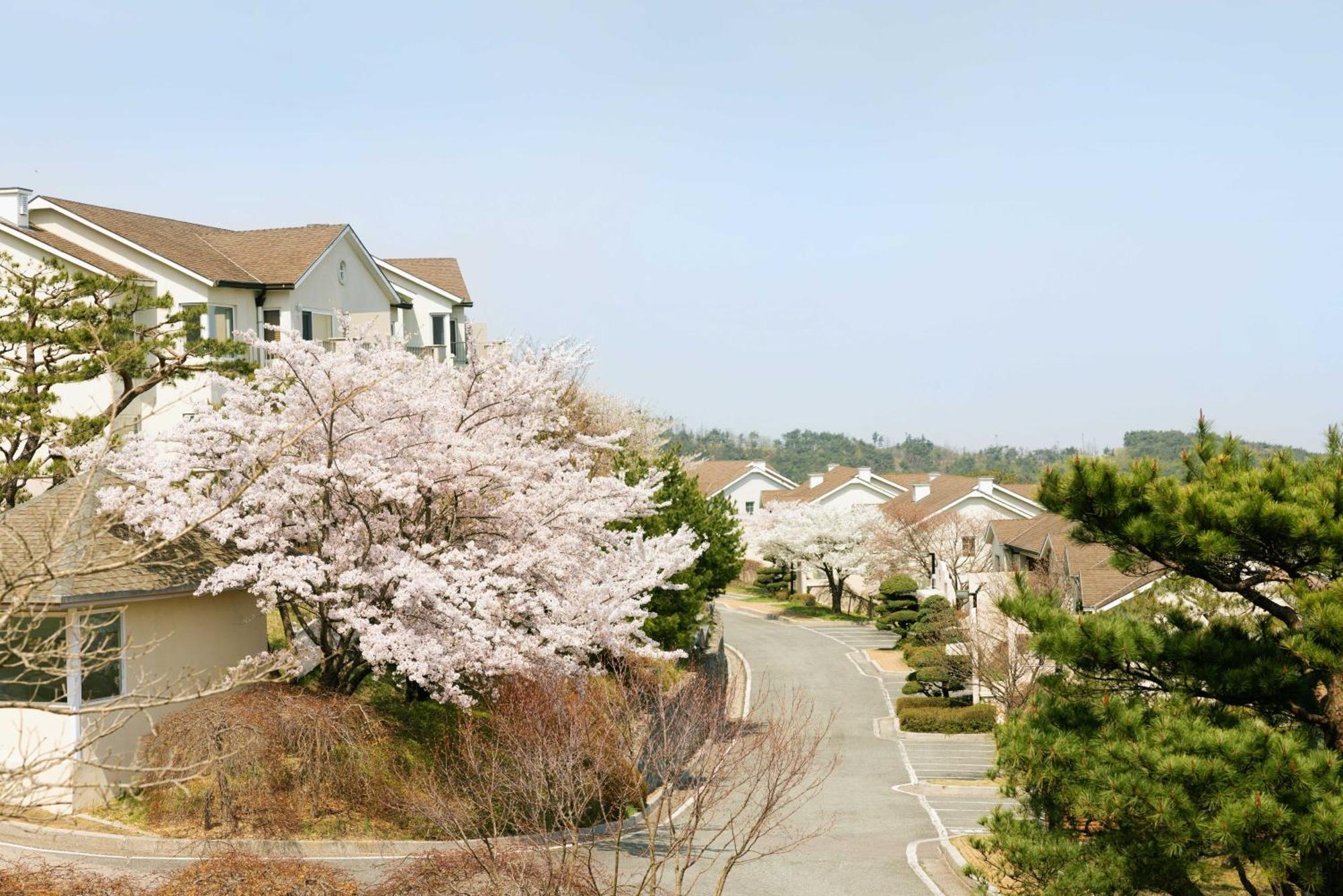 Gyeongju Mauna Ocean Resort Eksteriør billede