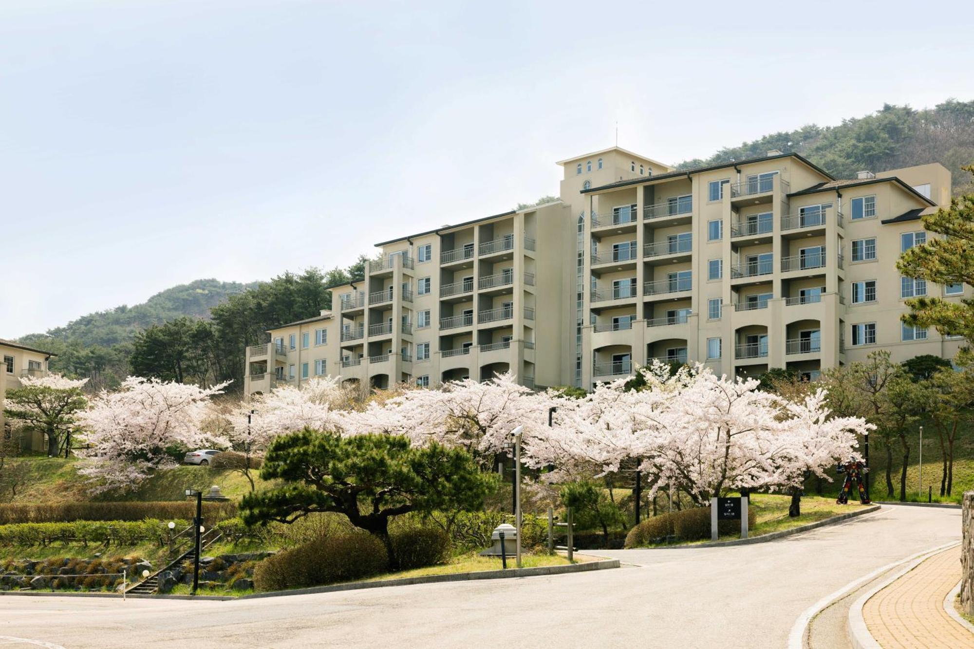 Gyeongju Mauna Ocean Resort Eksteriør billede