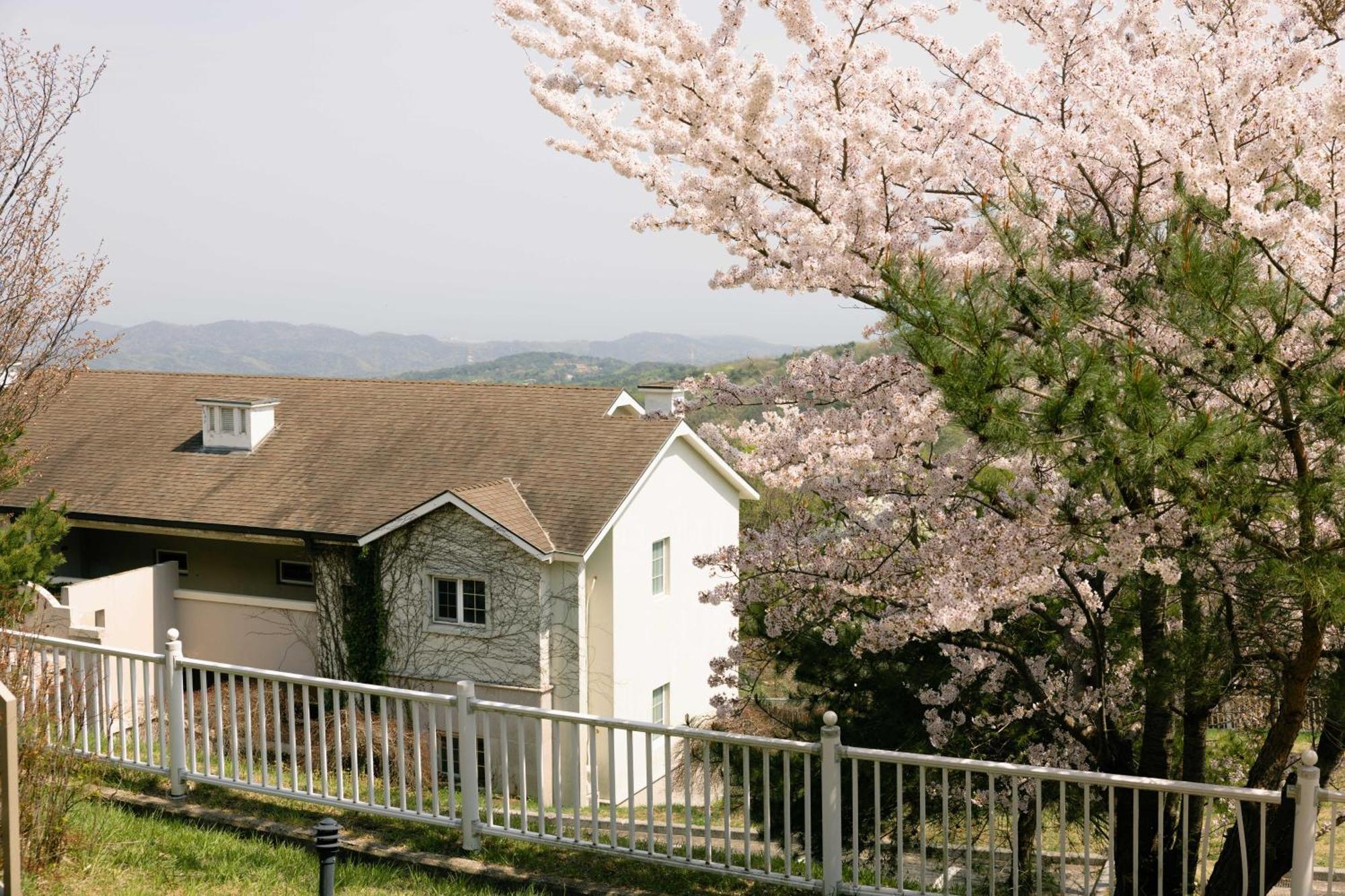 Gyeongju Mauna Ocean Resort Eksteriør billede