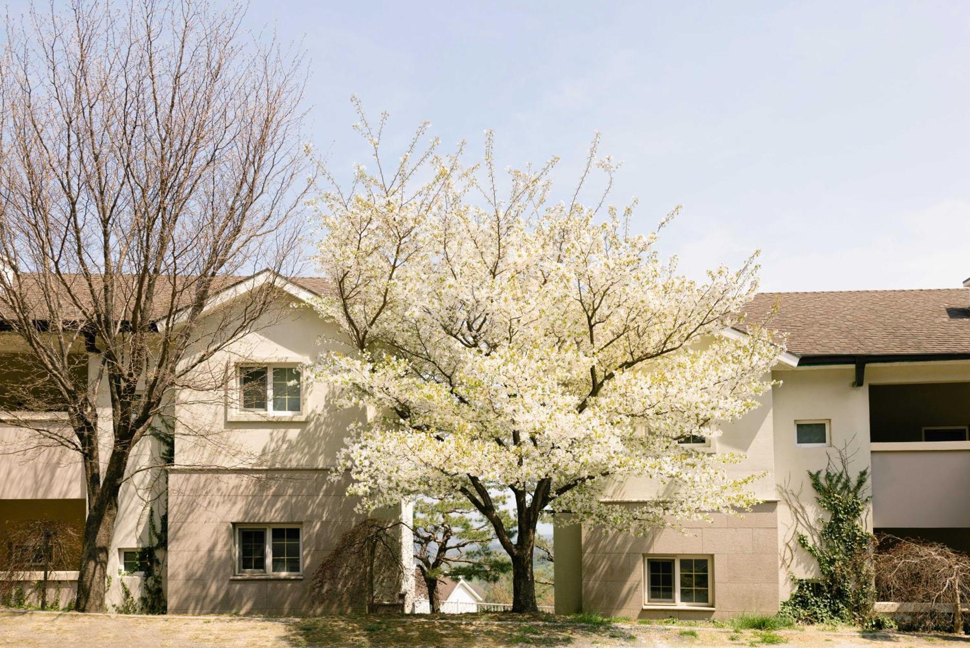 Gyeongju Mauna Ocean Resort Eksteriør billede
